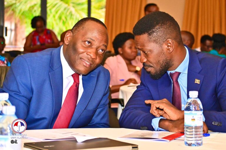 The President’s remarks at the Consultative Workshop on Constitutional and Electoral Reforms.